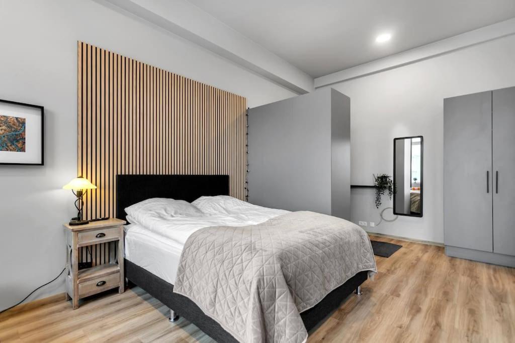 Charming Studio Apartment Reykjavík Zewnętrze zdjęcie